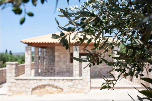 Vasia Villa Gianouleika Exteriör bild